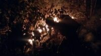 IMG-20190901-WA0011