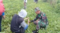 IMG-20190915-WA0030