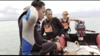 IMG-20211111-WA0141